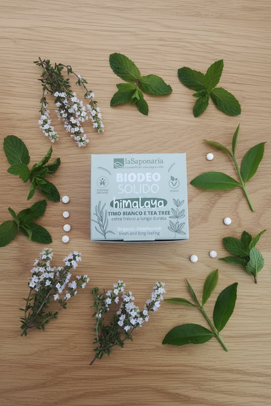 Deodorante solido himalaya