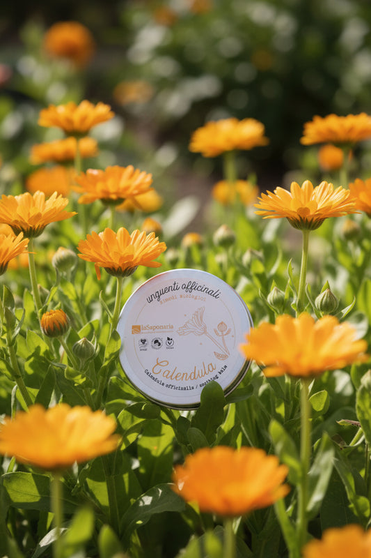 Unguento alla calendula