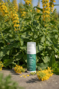 Crema viso al collagene vegetale e acido ialuronico