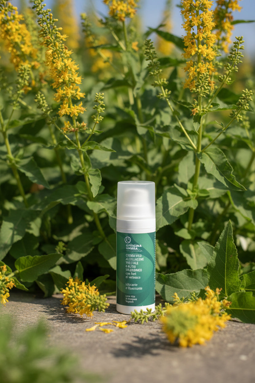 Crema viso al collagene vegetale e acido ialuronico