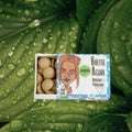 Botter acqua
