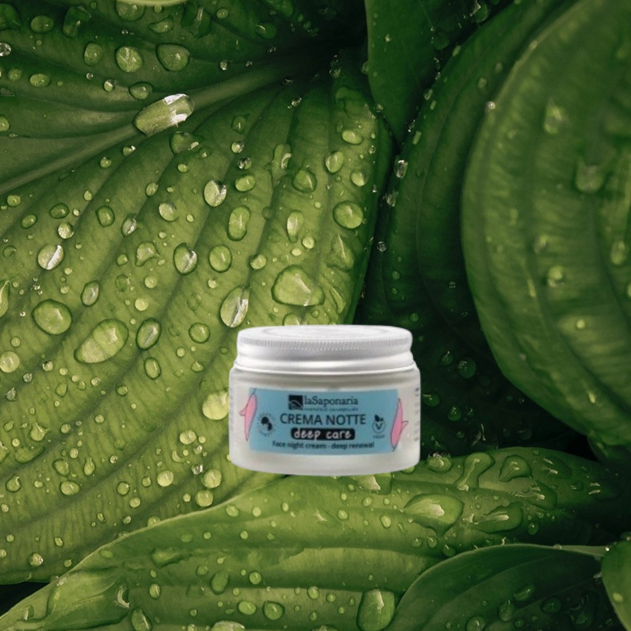 Crema viso notte antiage