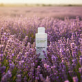 Bagnodoccia Lavanda